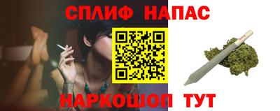 молекула духа Будённовск