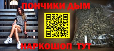 молекула духа Будённовск