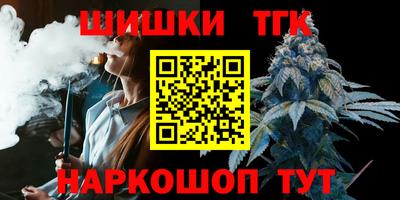 молекула духа Будённовск