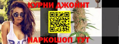 молекула духа Будённовск