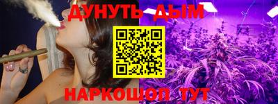 молекула духа Будённовск