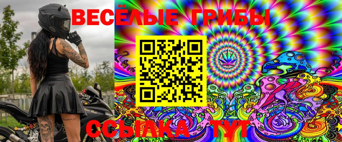 Галлюциногенные грибы Psilocybe Спасск-Дальний